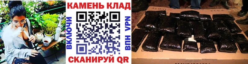 закладка  Котельники  Гашиш индика сатива 
