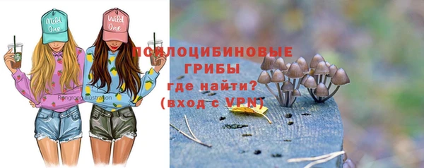мет Алексин
