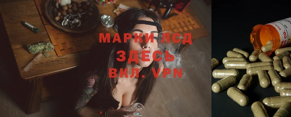 прущие крисы Алексеевка