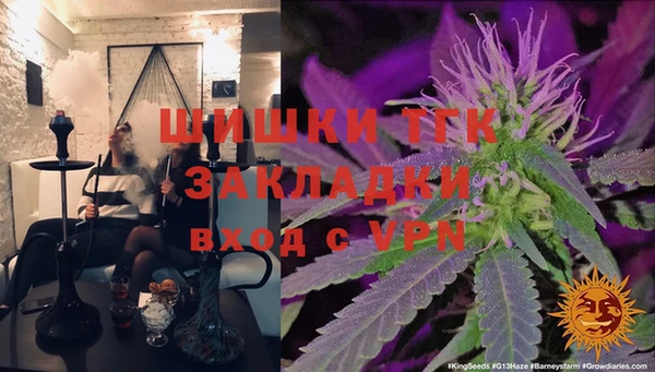 винт Алзамай