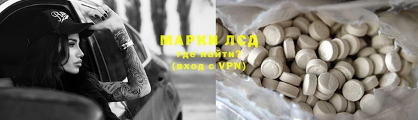 винт Алзамай