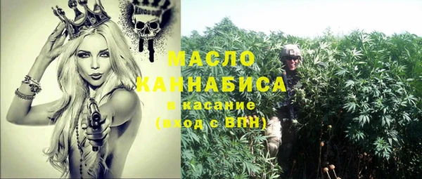 мет Алексин