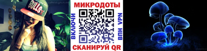 mega зеркало  Котельники  Псилоцибиновые грибы Psilocybine cubensis 